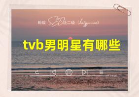 tvb男明星有哪些