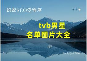 tvb男星名单图片大全