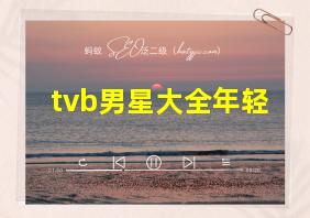 tvb男星大全年轻