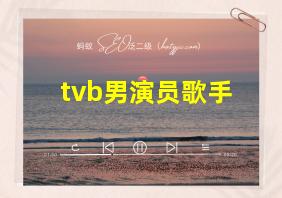 tvb男演员歌手