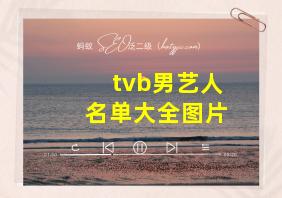 tvb男艺人名单大全图片