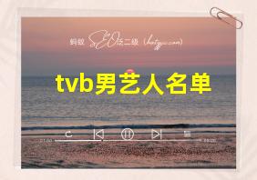 tvb男艺人名单