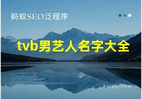 tvb男艺人名字大全