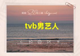 tvb男艺人