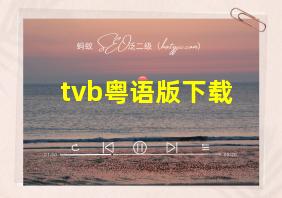 tvb粤语版下载