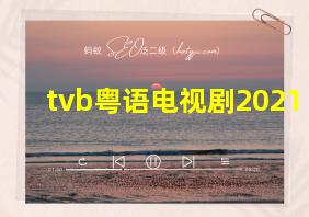 tvb粤语电视剧2021