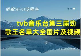 tvb音乐台第三届劲歌王名单大全图片及视频