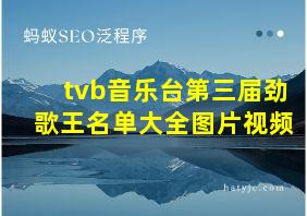 tvb音乐台第三届劲歌王名单大全图片视频