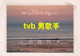 tvb 男歌手