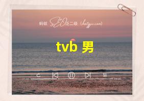 tvb 男