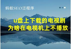 u盘上下载的电视剧为啥在电视机上不播放