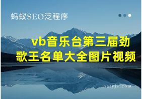 vb音乐台第三届劲歌王名单大全图片视频