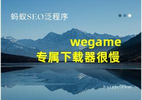 wegame专属下载器很慢